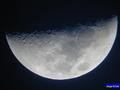 20030208levy051_web.jpg