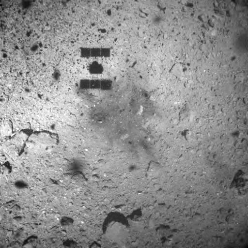 image_news_Haya2_mars2019.jpg
